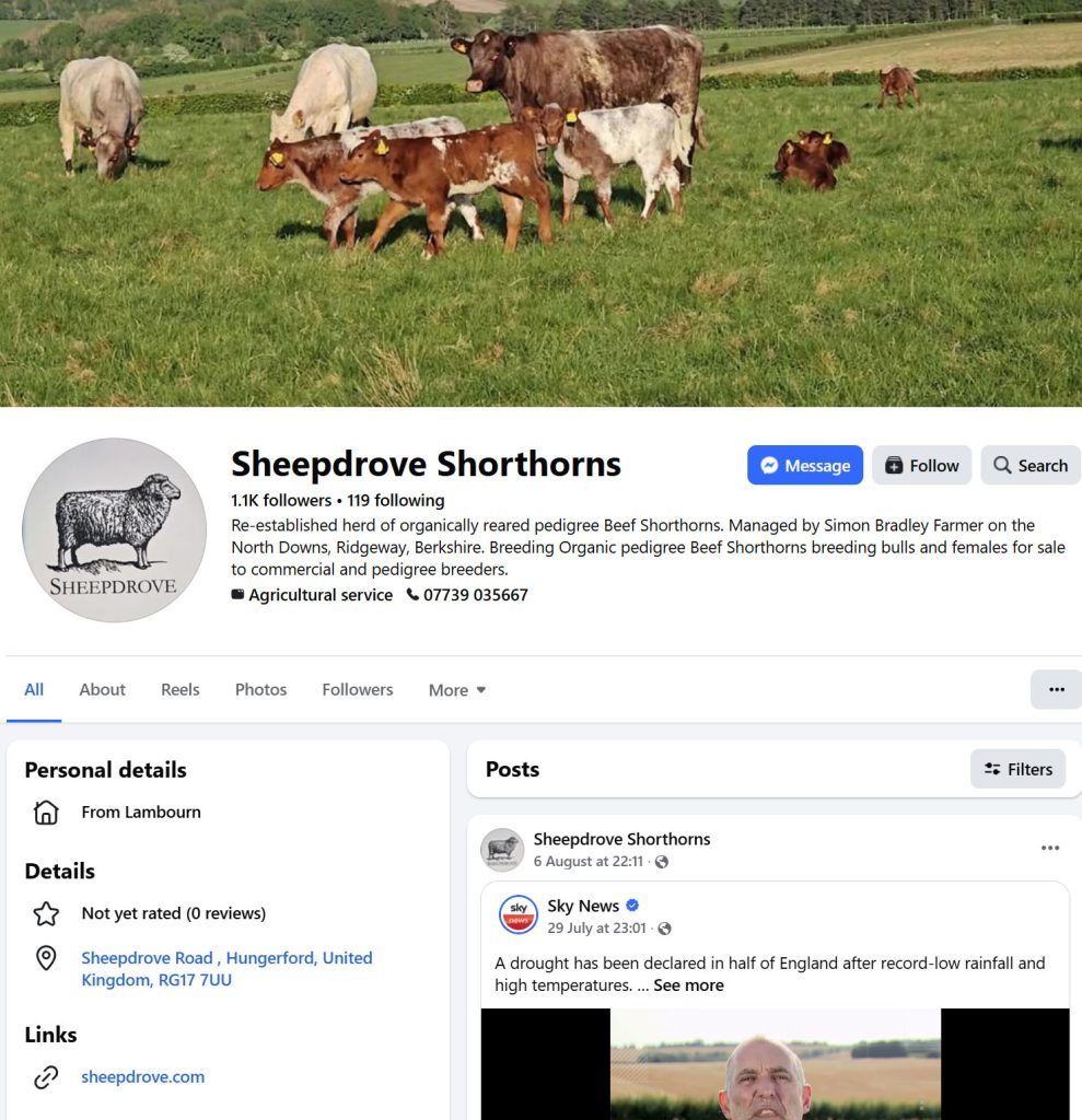 Shorthorns Facebook Page