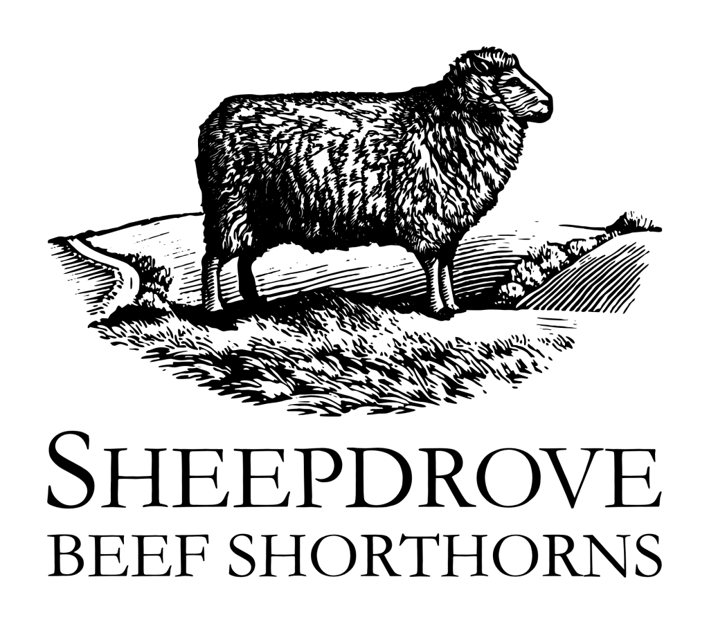 Sheepdrove Beef Shorthorns logo